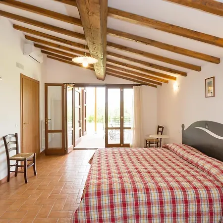Ligustro Villa Riparbella