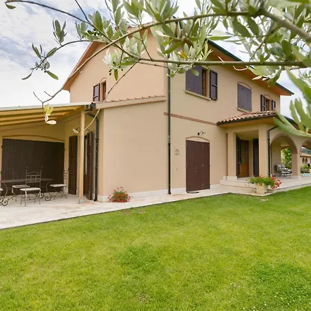 Ligustro 利帕贝拉