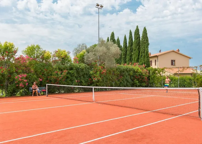 Ligustro 리파벨라