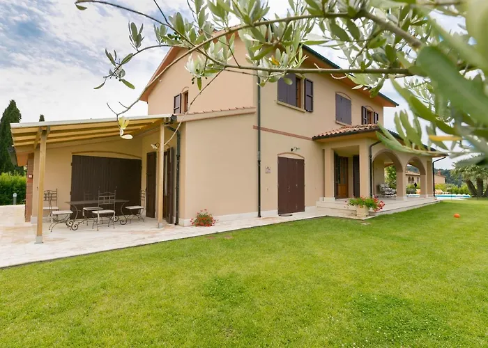 Ligustro 利帕贝拉